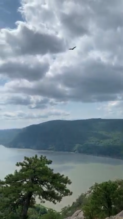 Soaring over Breakneck Ridge.